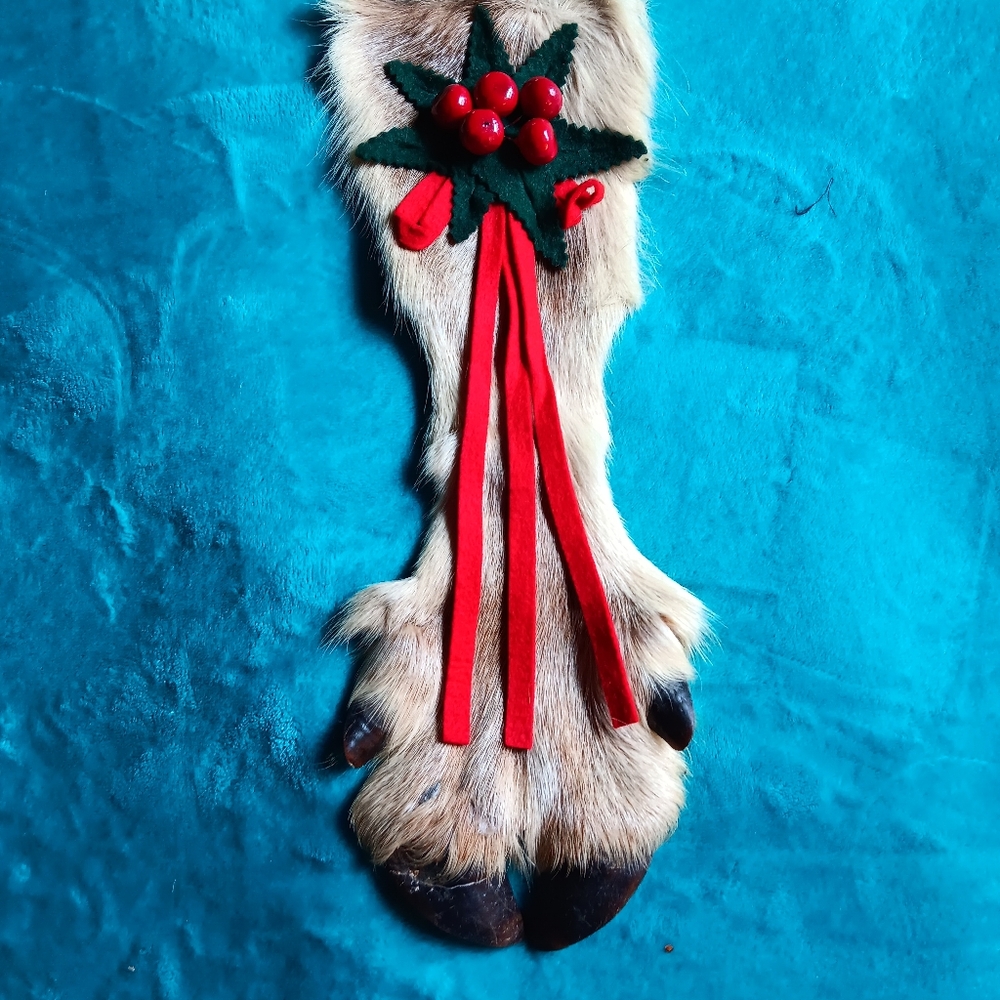 REINDEER HOOF